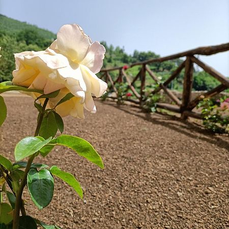 Casale Forno Vecchio Villa Tramonti Esterno foto
